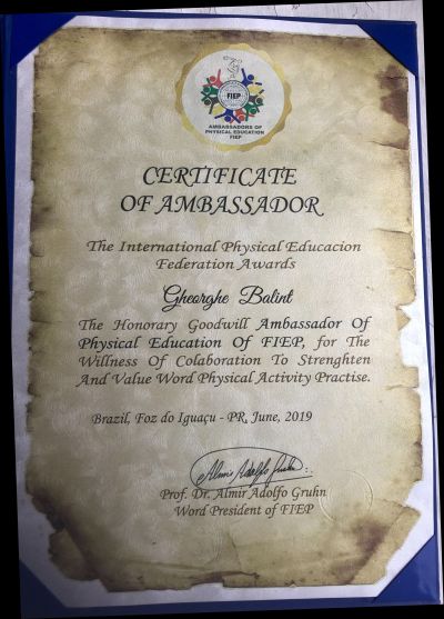 Diploma Ambasador FIEP 1